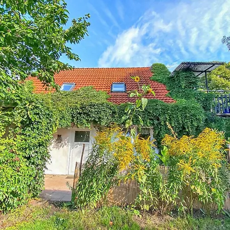 Mueritz Waren